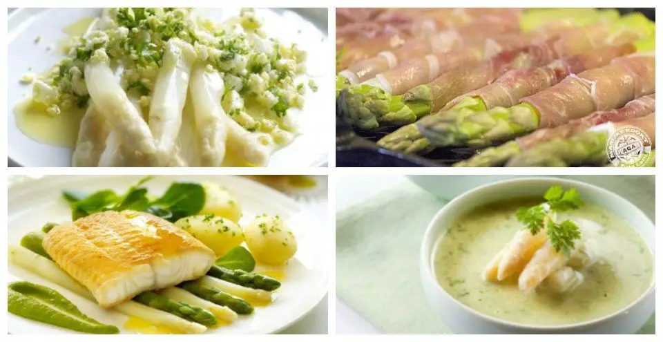 lekkere asperge recepten lekkere asperge recepten