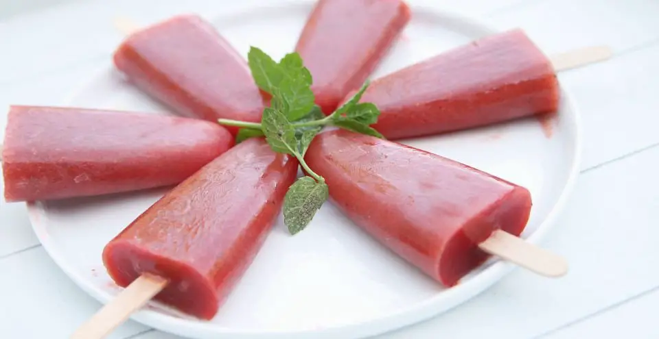 recept watermeloen ijs recept watermeloen ijs