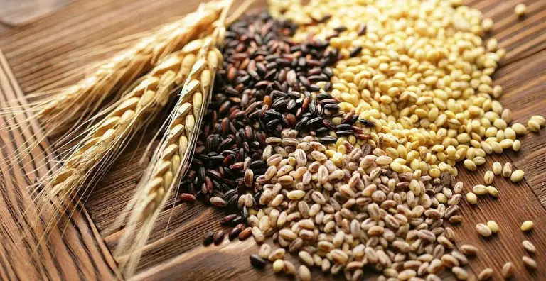 5x Glutenvrije granen die je moet proberen
