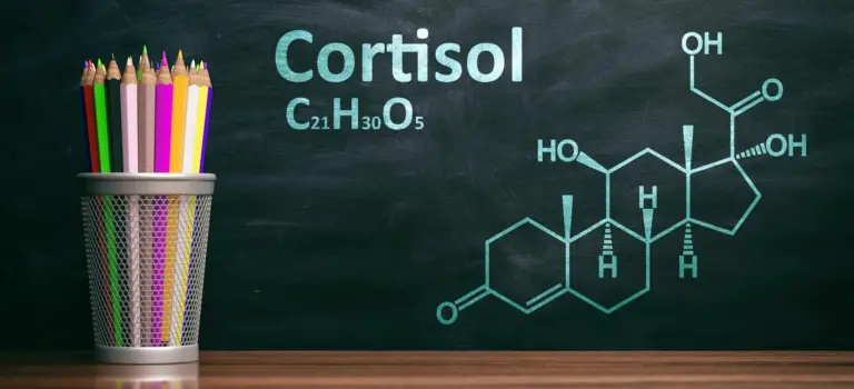 Cortisol: wat is het & wat doet het in je lichaam?