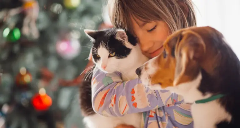 Waarom een huisdier zo goed is voor je mentale gezondheid