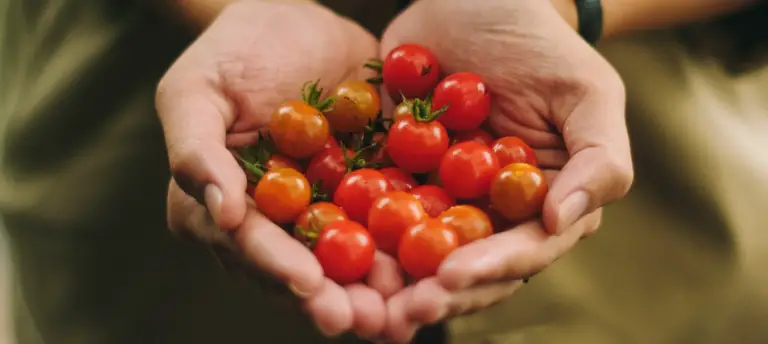 Lycopeen: wat is het & wat doet het in je lichaam