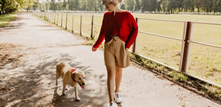 Hoe wandelen met je hond een goed rustmoment kan zijn in je dag