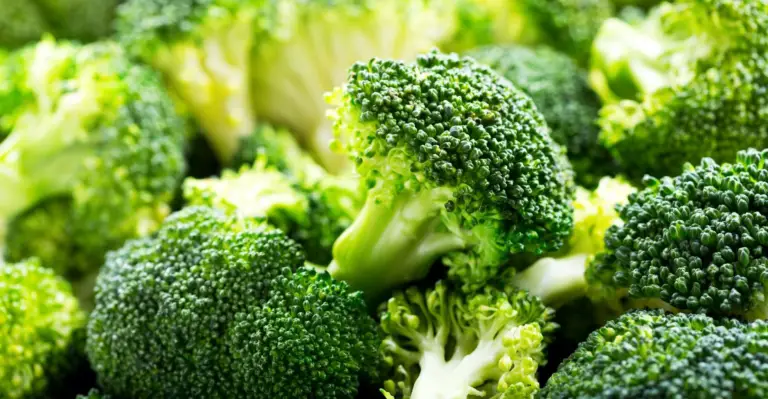 Broccoli: een prachtige groente vol gezonde voordelen!
