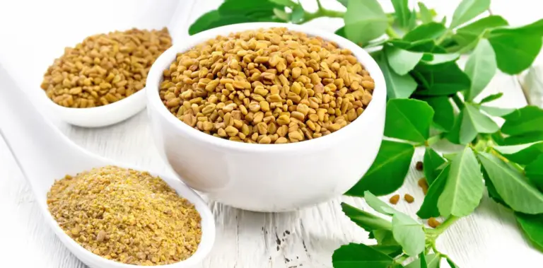 Fenegriek: een prachtig kruid om te gebruiken in de keuken én om te drinken!