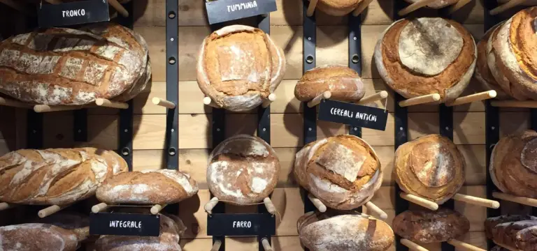 Brood: welke soort brood is de gezondste keuze?